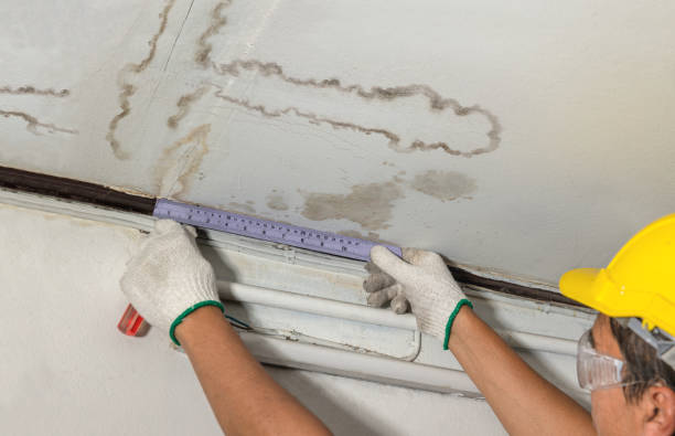 Reliable Mold Remediation contractor in Vernon, MI by Local Water Damage Repair